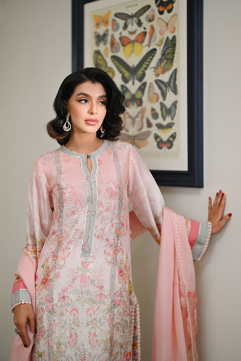 Aviara Shirt and Dupatta