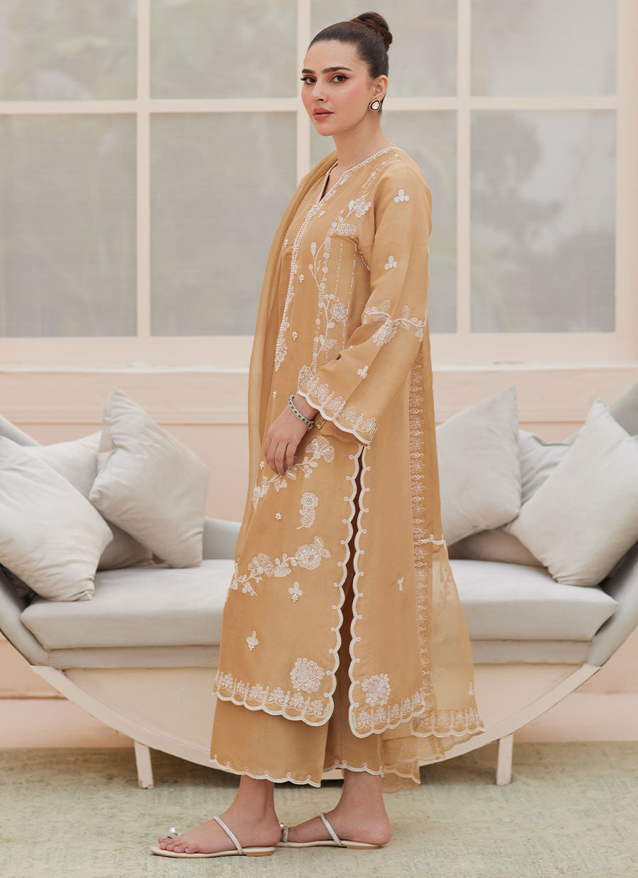 Bea Taupe Silk Shirt and Dupatta